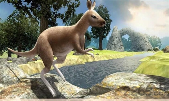 袋鼠生存模拟器汉化版下载