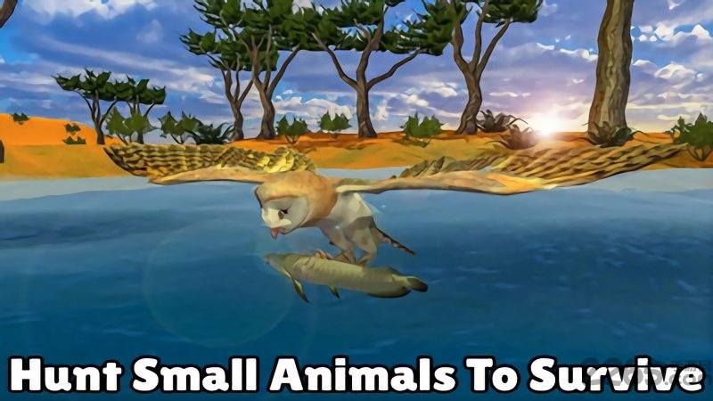 猫头鹰模拟器游戏