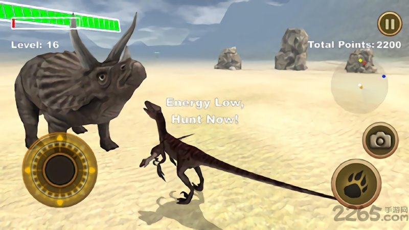 猛禽生存模拟器游戏