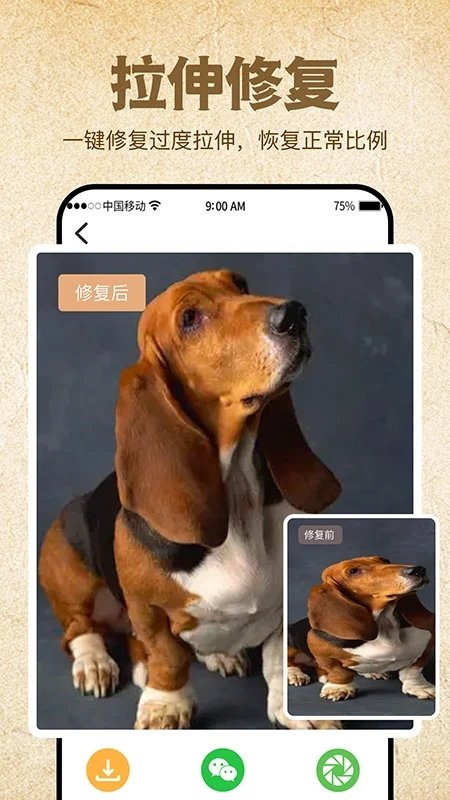 影像修复大师软件