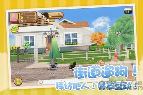 心动小狗官方版