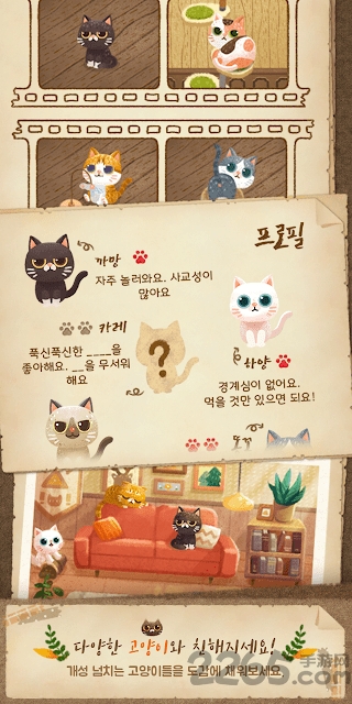 猫和秘密之森官方版