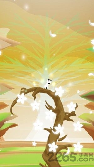 花开世界安卓版