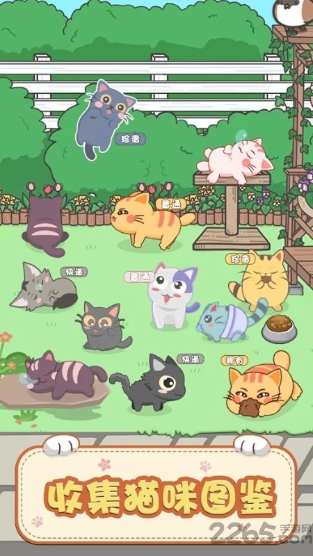 奇妙猫之家红包版