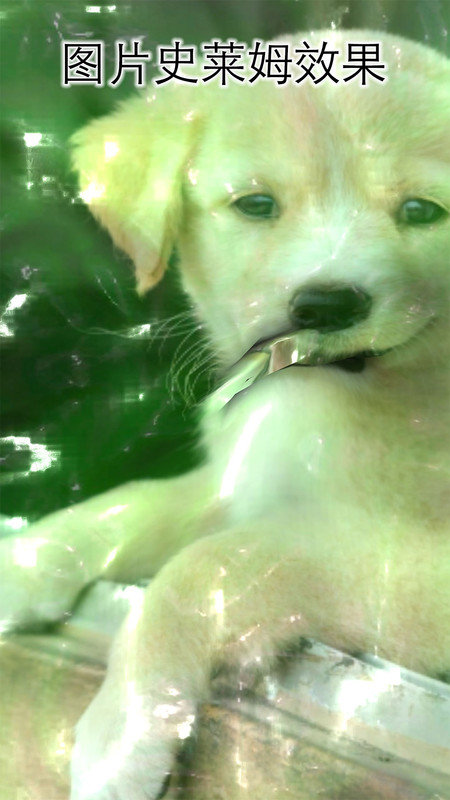 史莱姆超级粘液游戏