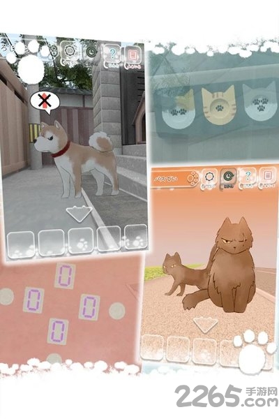 迷路猫咪的故事中文版