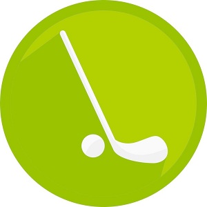 曲棍球手机单机游戏