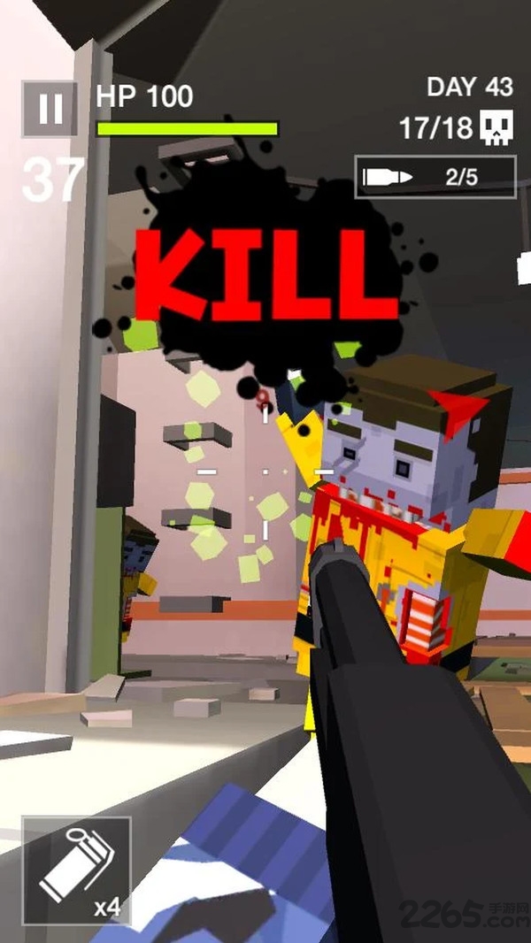 勇闯辐射灾区官方版