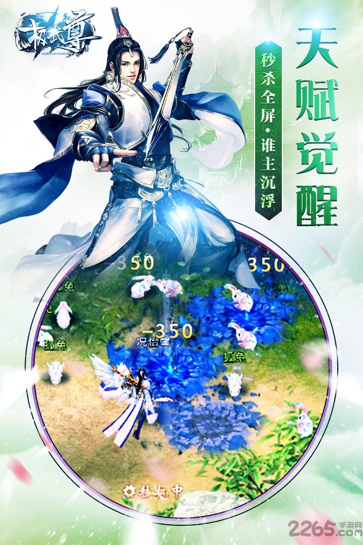 极武尊手游九游版