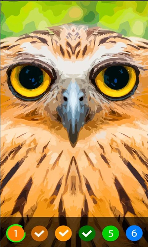 数字填色五彩涂鸦世界下载