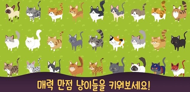 喵喵餐厅的奇迹游戏