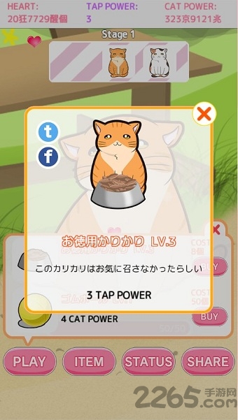 和猫猫玩耍最新版 和猫猫玩耍游戏下载