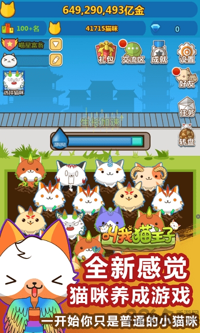 叫我猫主子h5游戏