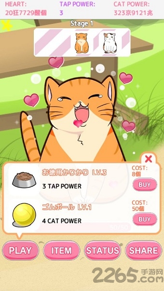 和猫猫玩耍最新版