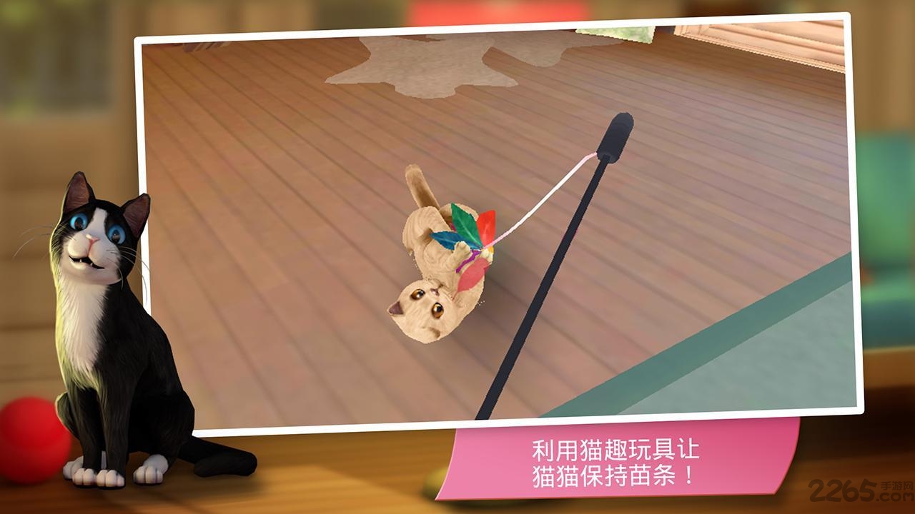 猫舍无限金币版