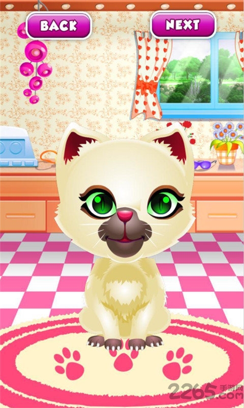 会说话的小猫咪手机游戏