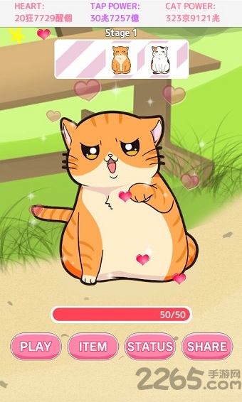 和猫猫玩耍最新版