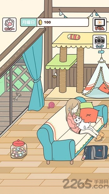 成为被饲养的猫正版游戏