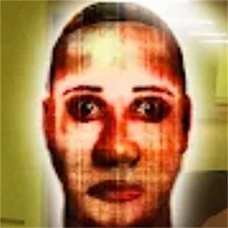 荒野挑战最新版