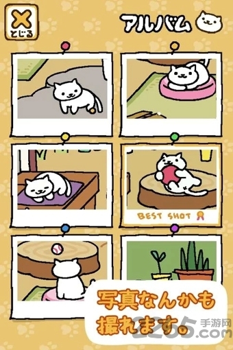 最新版猫咪后院破解版