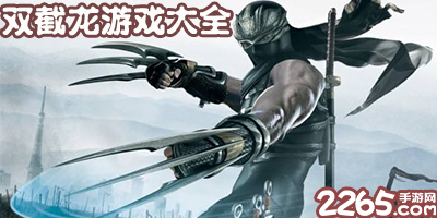 双截龙