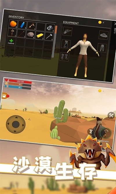沙漠生存游戏