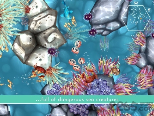 水母暗礁内购完整破解版