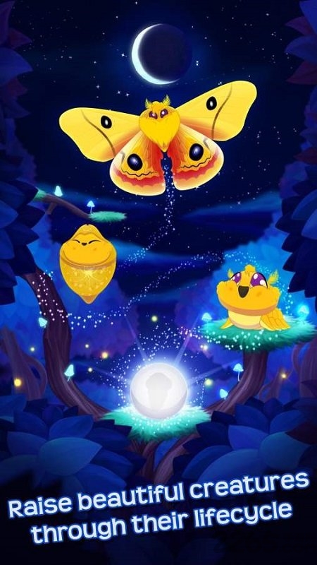 蝴蝶之星夜中文版