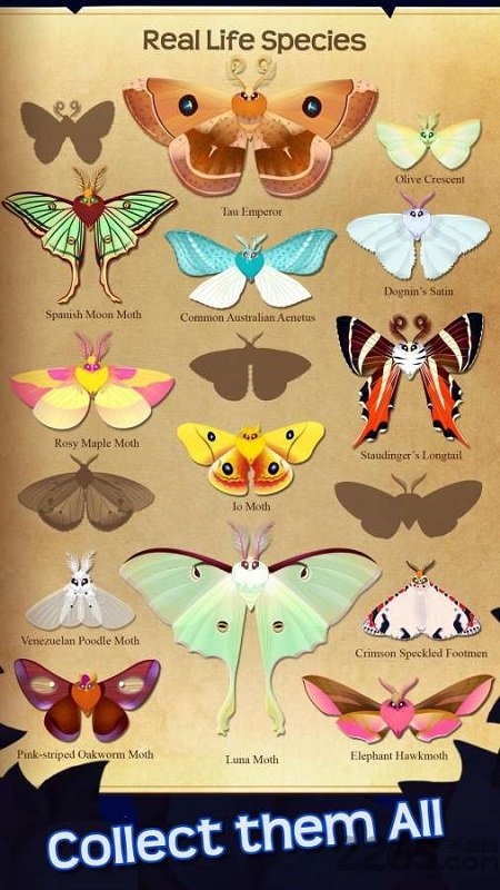 蝴蝶之星夜中文版 蝴蝶之星夜游戏下载