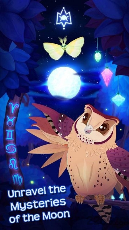 蝴蝶之星夜中文版