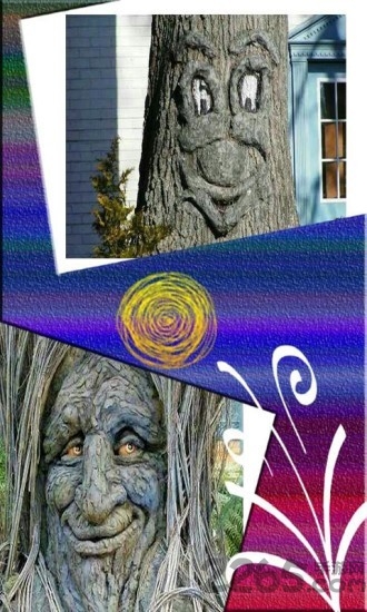 美美相框照相机app