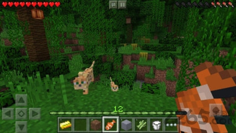 我的世界夏季版汉化下载