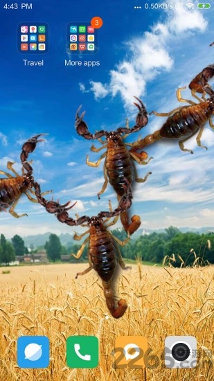 蝎子在手机爬行软件