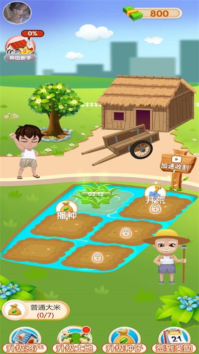 大米刷刷乐手机版