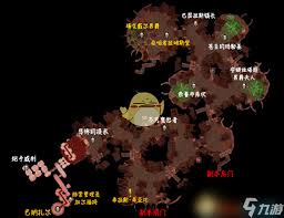 斯坦索姆疾病解决方案