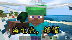 我的世界龟壳怎么掉落